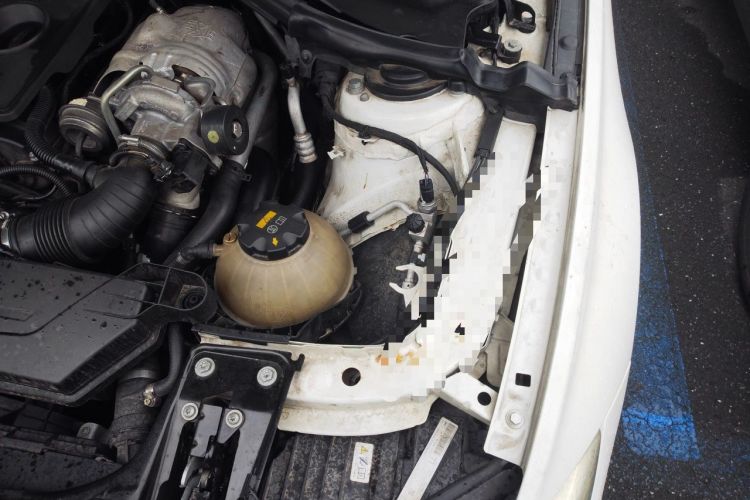 Used BMW 3 Series 2015 316Li Fashion Model Engine Bay Left