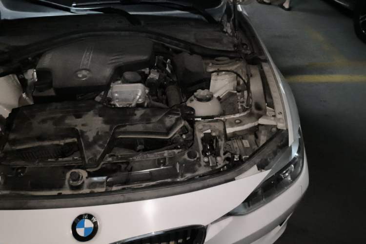 Used BMW 3 Series 2015 320Li Luxury Edition Fashion Model Engine Bay Left