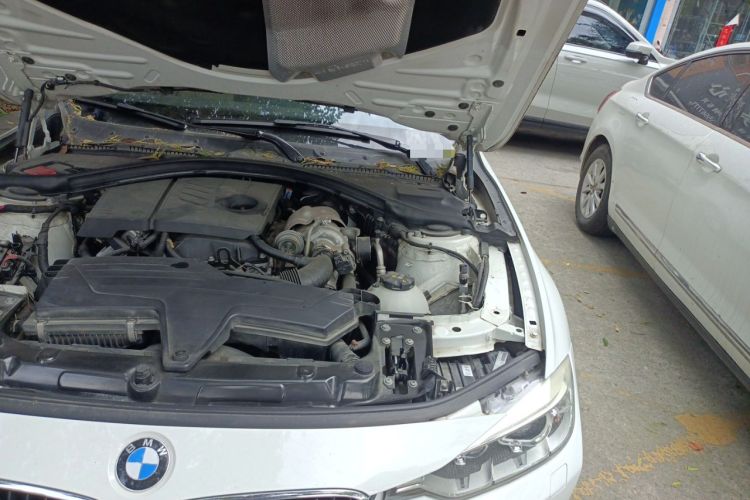 Used BMW 3 Series 2015 316Li Fashion Model Engine Bay Left