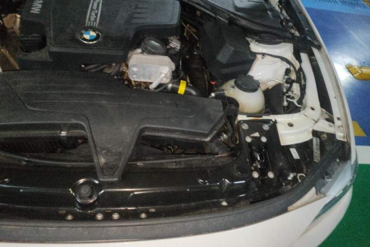 Used BMW 3 Series 2015 320Li Luxury Edition Fashion Model Engine Bay Left