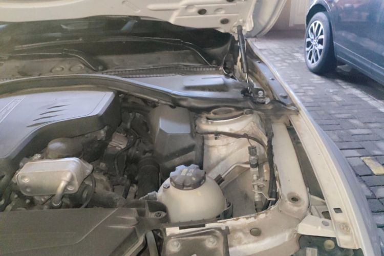 Used BMW 3 Series 2015 320Li Luxury Edition Fashion Model Engine Bay Left