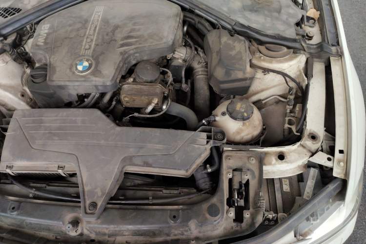 Used BMW 3 Series 2015 320Li Luxury Edition Fashion Model Engine Bay Left