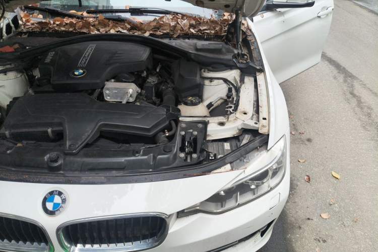 Used BMW 3 Series 2015 320Li Luxury Edition Fashion Model Engine Bay Left