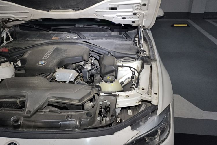 Used BMW 3 Series 2015 320Li Luxury Design Package Premium Edition Engine Bay Left