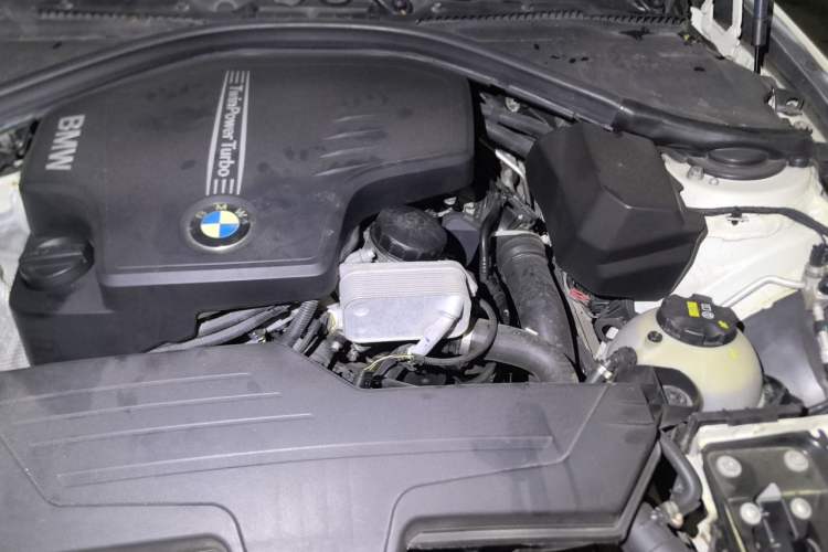 Used BMW 3 Series 2015 320Li Luxury Design Package Engine Bay Left