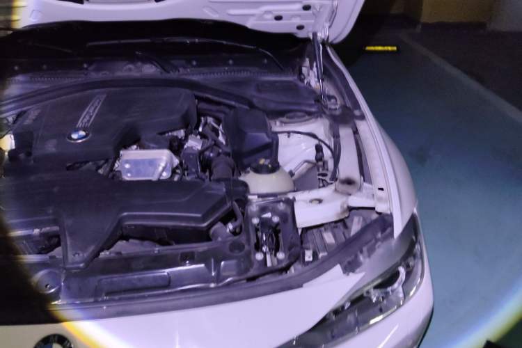 Used BMW 3 Series 2015 320Li Luxury Edition Fashion Model Engine Bay Left