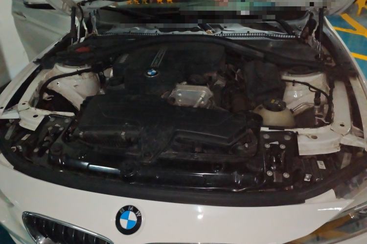 Used BMW 3 Series 2015 320i Luxury Edition Sports Design Package Engine Bay