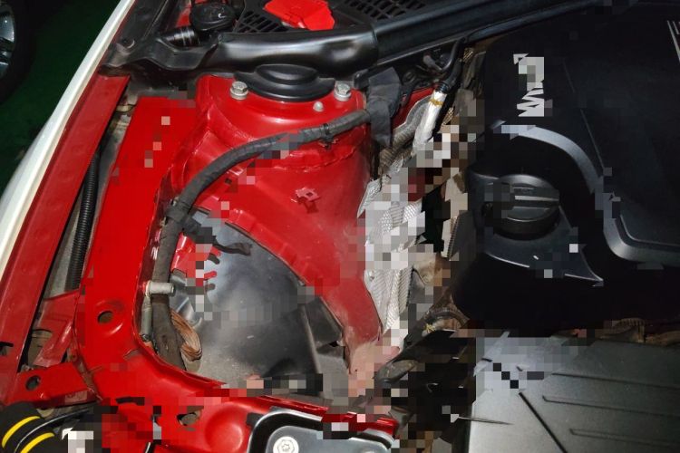 Used BMW 3 Series 2015 320Li Luxury Edition Fashion Model Engine Bay Right