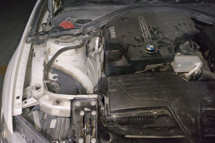 Used BMW 3 Series 2015 320Li Luxury Edition Fashion Model Engine Bay Right