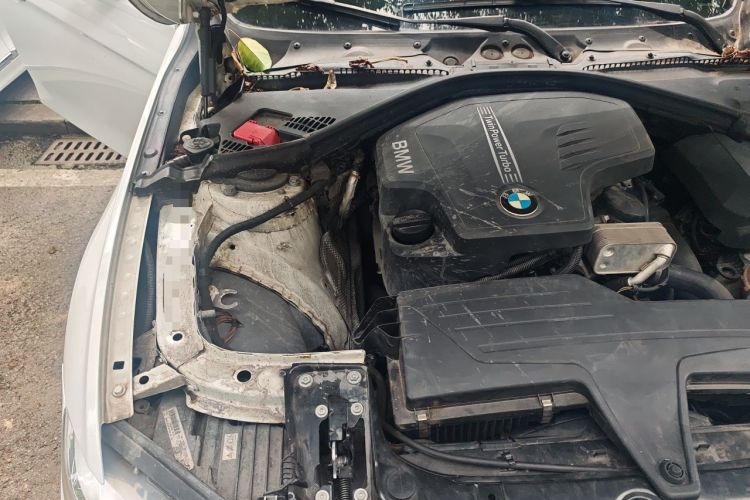 Used BMW 3 Series 2015 320Li Luxury Edition Fashion Model Engine Bay Right