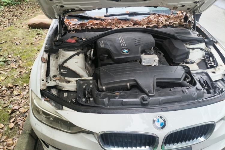 Used BMW 3 Series 2015 320Li Luxury Edition Fashion Model Engine Bay Right