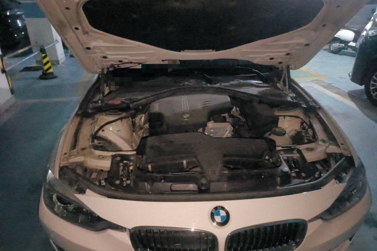Used BMW 3 Series 2015 320Li Luxury Design Package Engine Bay Right