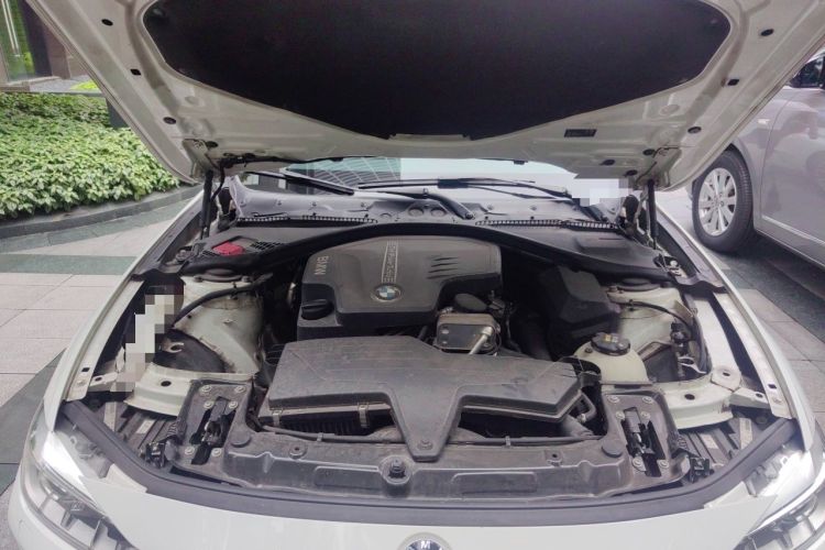 Used BMW 3 Series 2015 320Li Luxury Design Package Premium Edition Engine Bay