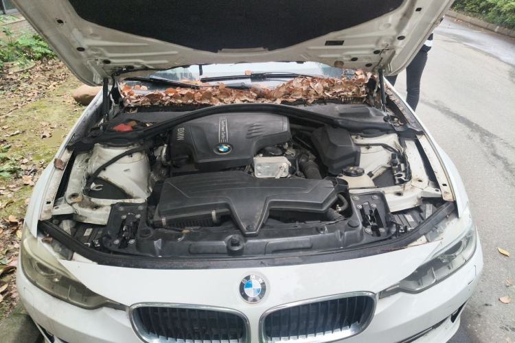 Used BMW 3 Series 2015 320Li Luxury Edition Fashion Model Engine Bay