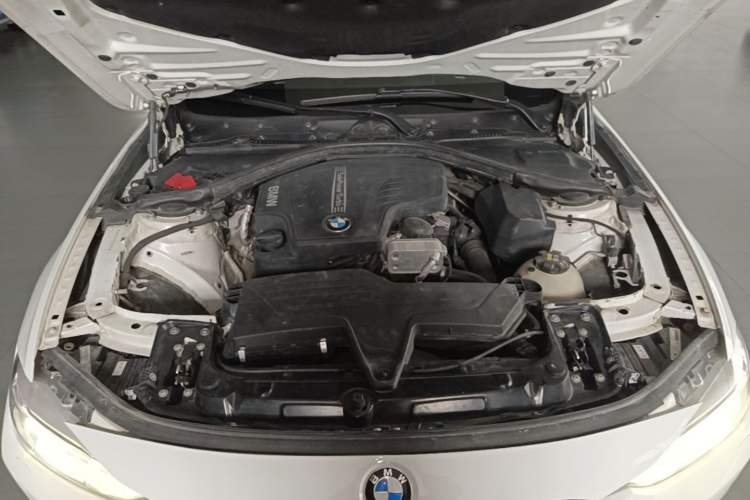 Used BMW 3 Series 2015 320Li Luxury Edition Fashion Model Engine Bay