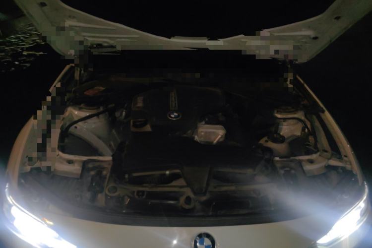 Used BMW 3 Series 2015 320Li Luxury Design Package Premium Edition Engine Bay