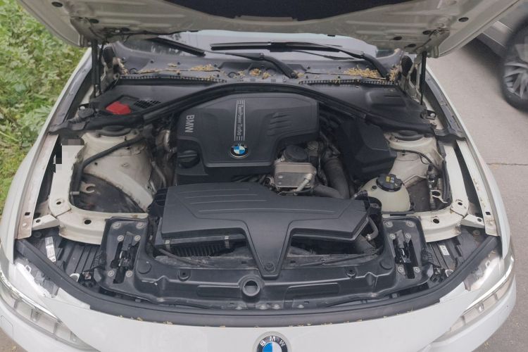 Used BMW 3 Series 2015 320Li Luxury Edition Fashion Model Engine Bay