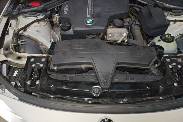 Used BMW 3 Series 2015 320Li Luxury Design Package Engine Bay