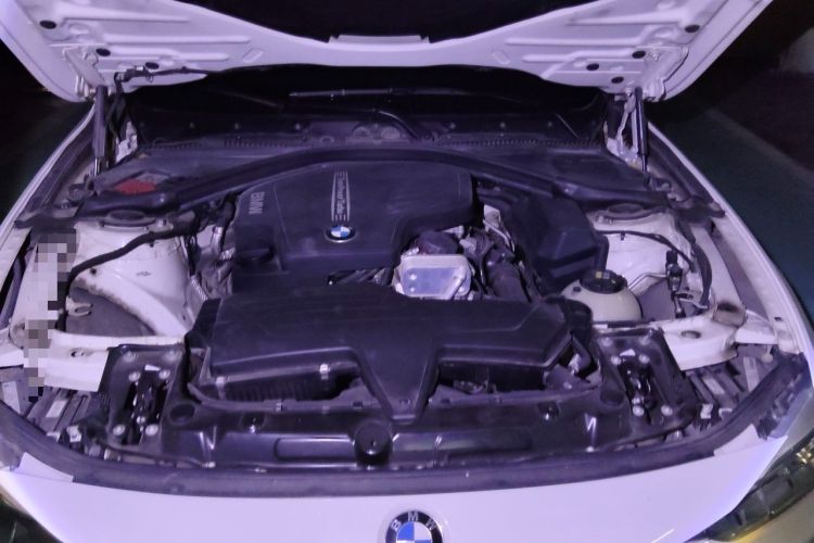 Used BMW 3 Series 2015 320Li Luxury Edition Fashion Model Engine Bay