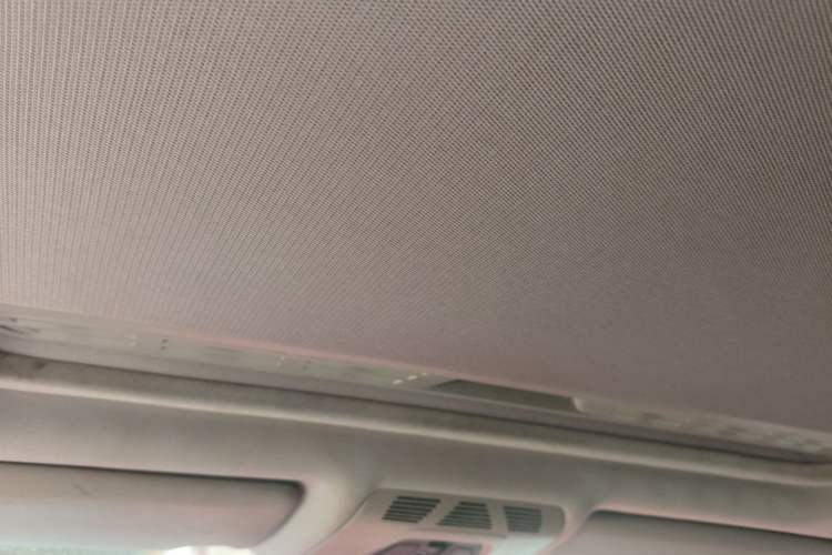 Used BMW 3 Series 2015 320Li Luxury Edition Fashion Model Headliner