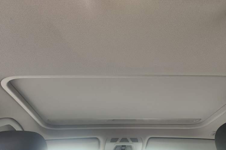 Used BMW 3 Series 2015 316Li Fashion Model Headliner