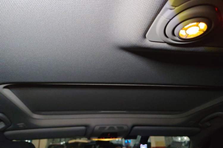 Used BMW 3 Series 2015 320Li Luxury Edition Fashion Model Headliner