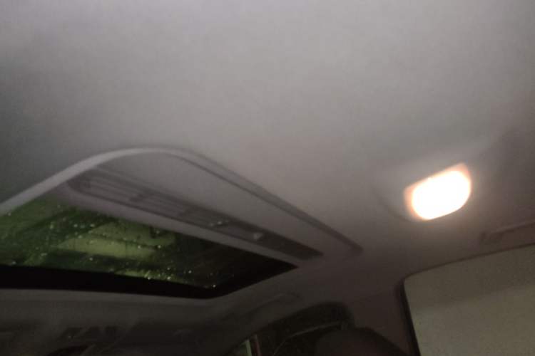 Used BMW 3 Series 2015 320i Luxury Line Stylish Edition Headliner