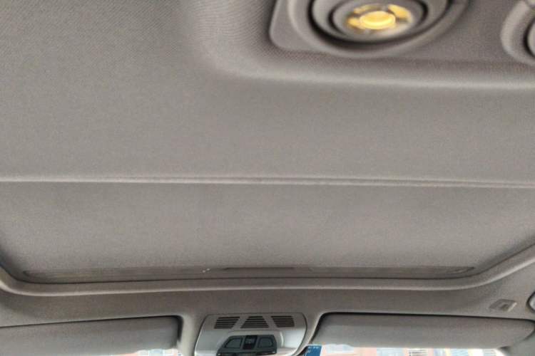 Used BMW 3 Series 2015 320Li Luxury Design Package Headliner