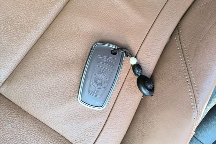 Used BMW 3 Series 2015 320Li Luxury Design Package Interior 1