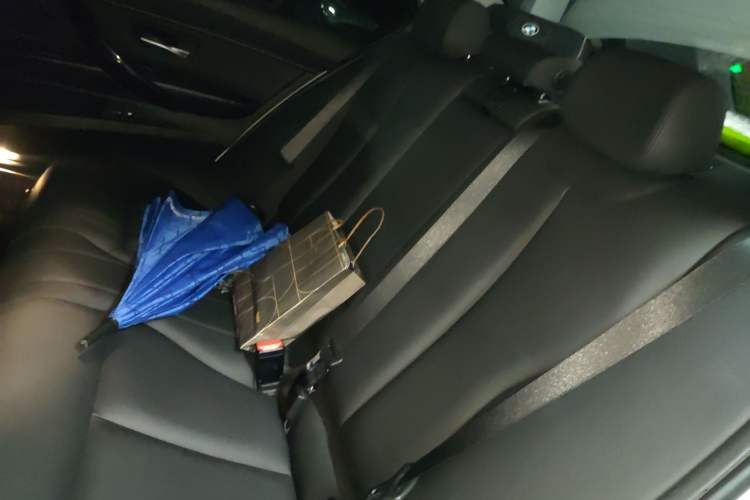 Used BMW 3 Series 2015 320Li Luxury Edition Fashion Model Left Rear Seat