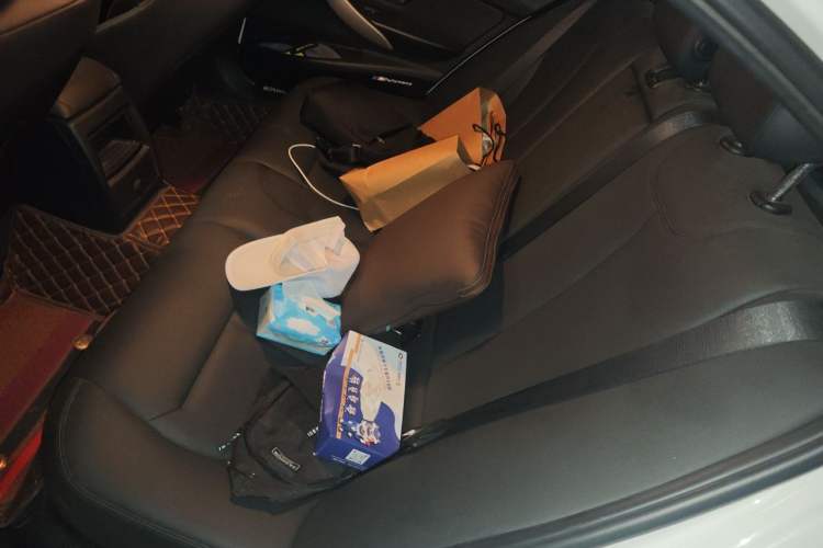 Used BMW 3 Series 2015 316i Active Edition Left Rear Seat