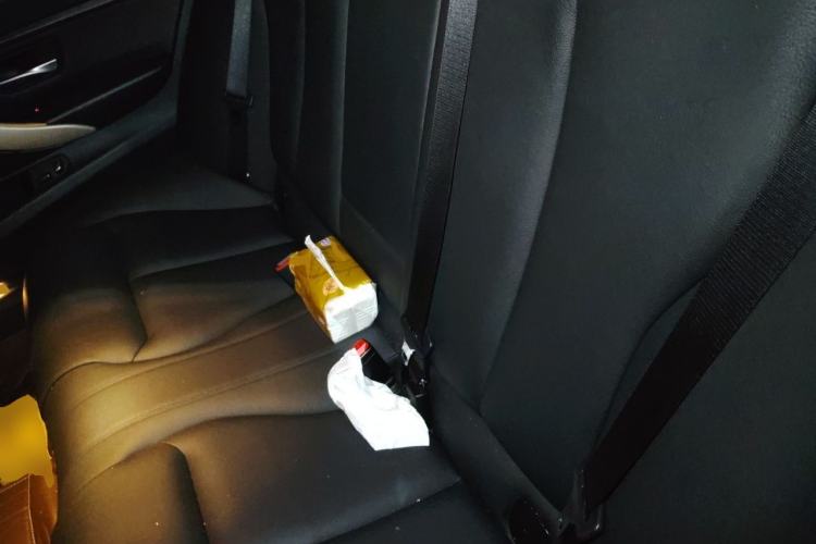 Used BMW 3 Series 2015 320Li Luxury Edition Fashion Model Left Rear Seat