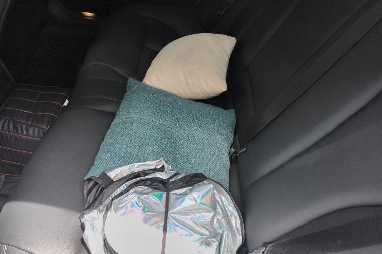 Used BMW 3 Series 2015 316Li Fashion Model Left Rear Seat