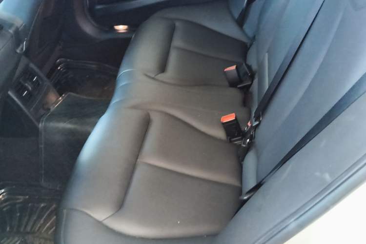 Used BMW 3 Series 2015 320Li Luxury Edition Fashion Model Left Rear Seat