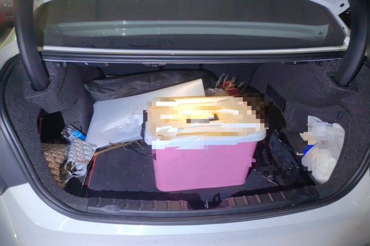 Used BMW 3 Series 2015 320Li Luxury Edition Fashion Model Trunk