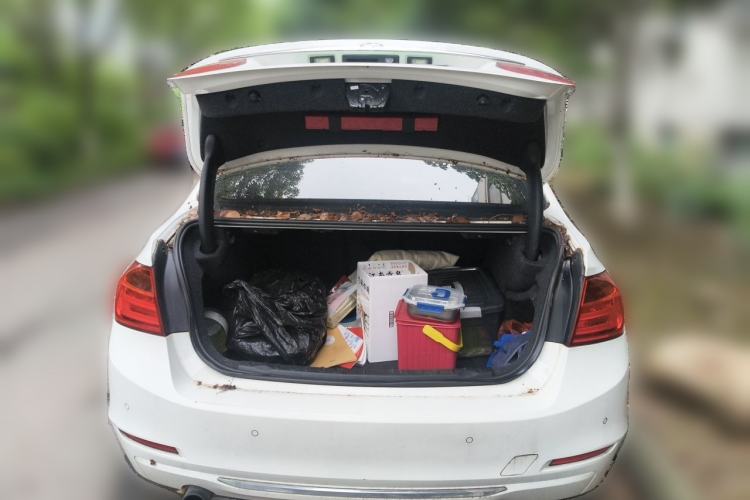 Used BMW 3 Series 2015 320Li Luxury Edition Fashion Model Trunk
