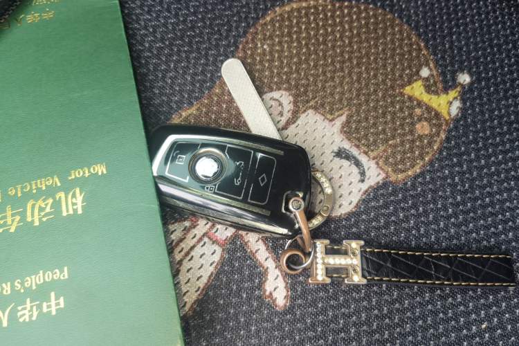 Used BMW 3 Series 2015 316Li Fashion Model Vehicle Key