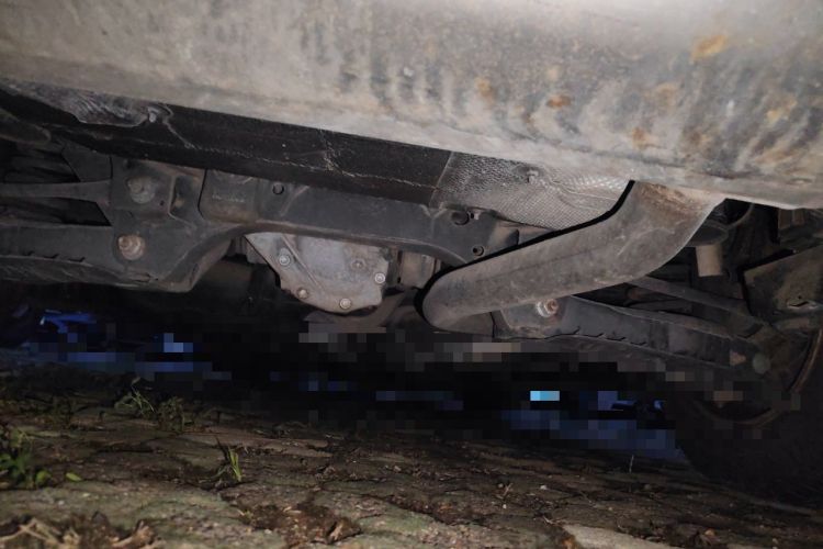 Used BMW 3 Series 2015 320Li Fashion Model Chassis Rear