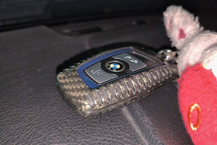 Used BMW 3 Series 2016 320i M Sport Vehicle Key