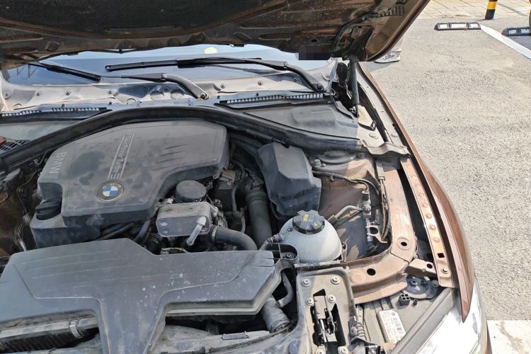 Used BMW 3 Series 2016 320Li Ambition Model Engine Bay Left