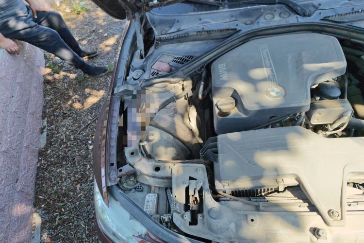 Used BMW 3 Series 2016 320Li Fashion Model Engine Bay Right