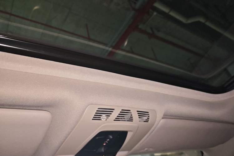 Used BMW 3 Series 2016 320Li Ambition Model Headliner