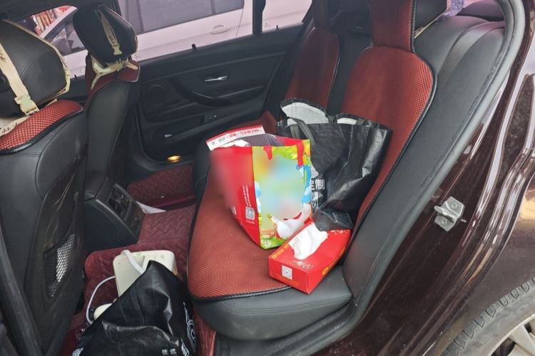Used BMW 3 Series 2016 320Li Ambition Model Left Rear Seat