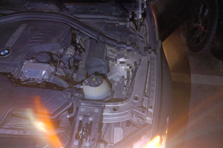Used BMW 3 Series 2016 320Li Fashion Model Engine Bay Left