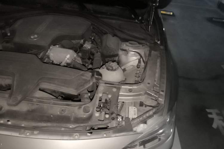 Used BMW 3 Series 2016 320Li Ambition Model Engine Bay Left