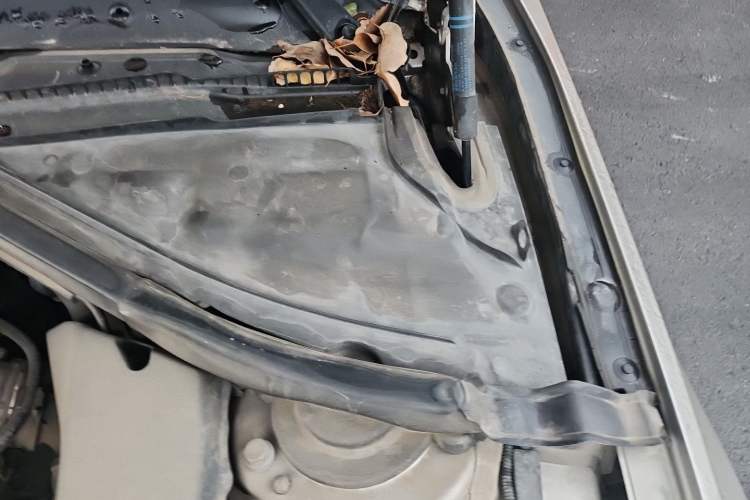 Used BMW 3 Series 2016 320Li Ambition Model Engine Bay Left