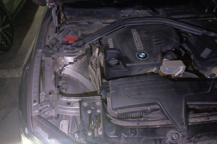 Used BMW 3 Series 2016 320Li Fashion Model Engine Bay Right