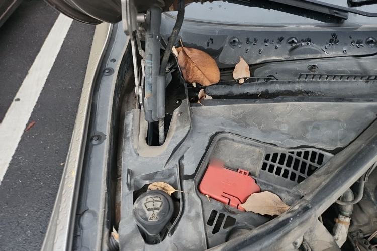 Used BMW 3 Series 2016 320Li Ambition Model Engine Bay Right