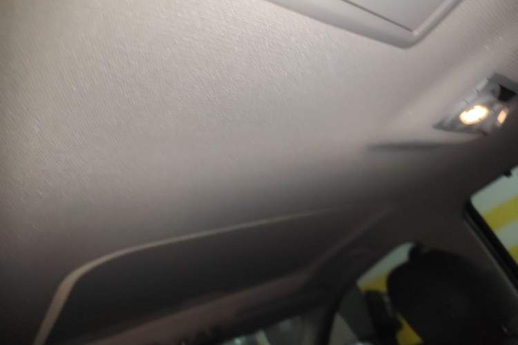 Used BMW 3 Series 2016 320Li Ambition Model Headliner