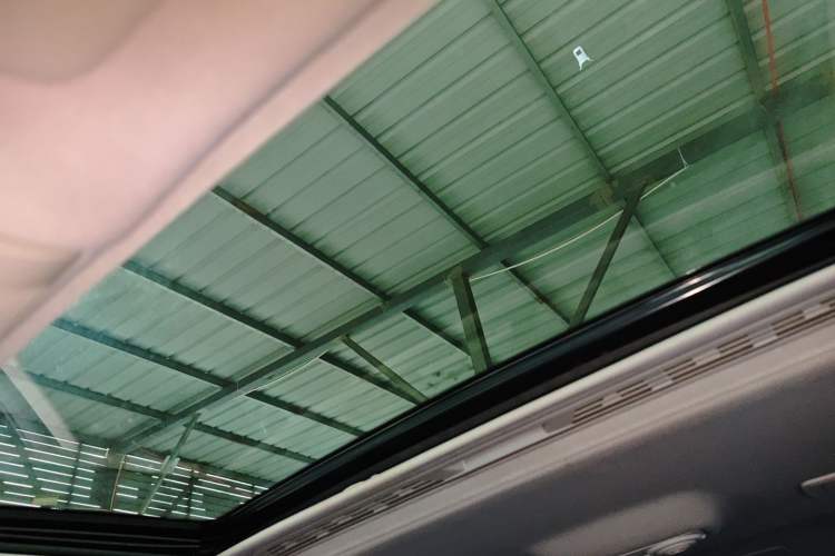 Used BMW 3 Series 2016 320Li Ambition Model Headliner